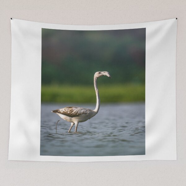 Item preview, Soft Disney Frozen cCream Elegance designed and sold by alekcarz.