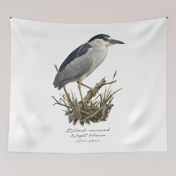 Item preview, Black-crowned Night Heron in Swamp Wetland Bird Illustration designed and sold by Takeda-art.