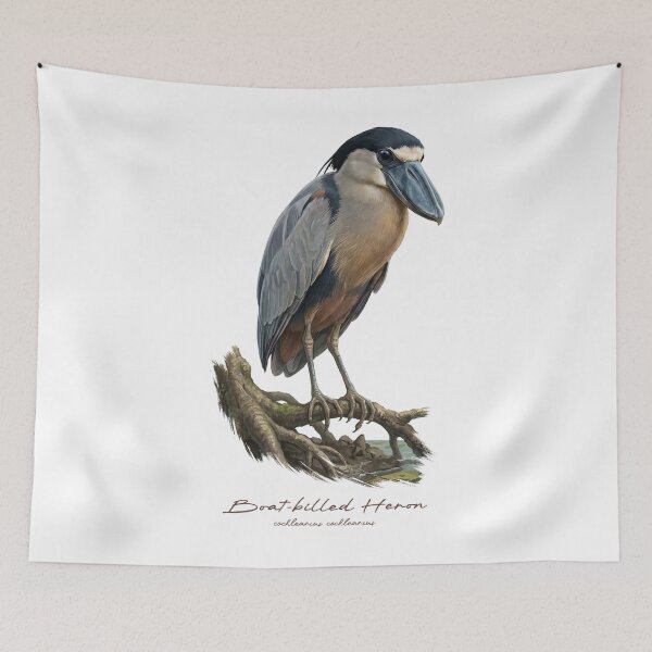 Item preview, Boat-billed Heron in Mangrove Swamp Bird Illustration designed and sold by Takeda-art.