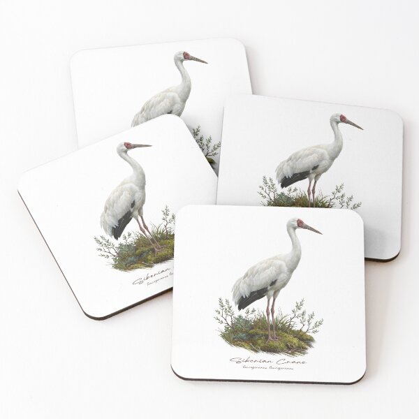 Item preview, Siberian Crane in Marsh Wetland Bird Illustration designed and sold by Takeda-art.