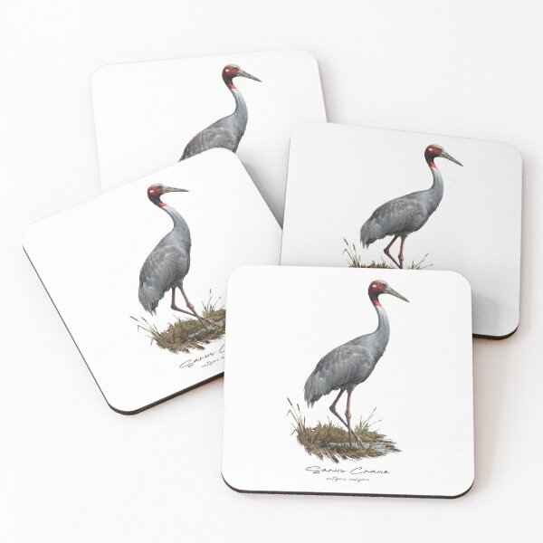 Artikelvorschau, Saruskranich im Sumpfgebiet – Vogelillustration entworfen und verkauft von Takeda-art.