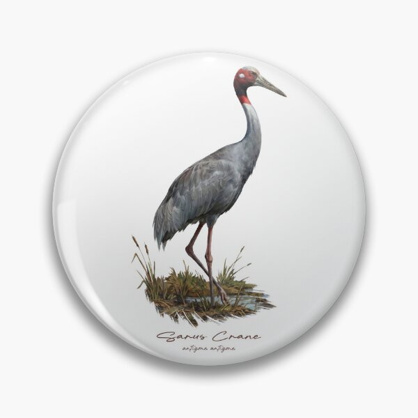 Item preview, Sarus Crane in Marsh Wetland Bird Illustration designed and sold by Takeda-art.