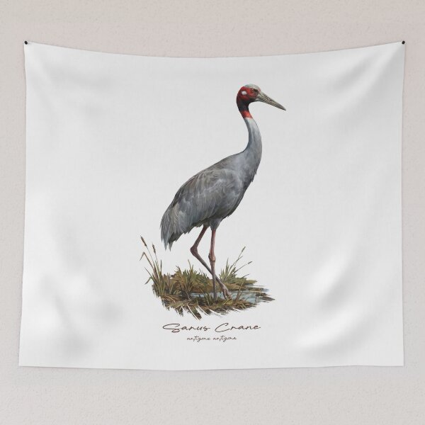 Item preview, Sarus Crane in Marsh Wetland Bird Illustration designed and sold by Takeda-art.