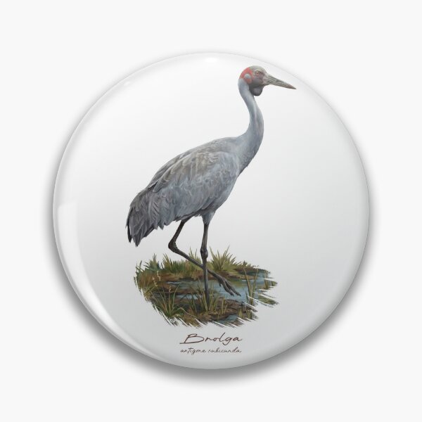 Item preview, Brolga Crane in Marsh Wetland Bird Illustration designed and sold by Takeda-art.