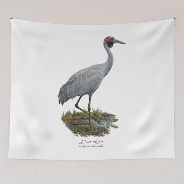 Item preview, Brolga Crane in Marsh Wetland Bird Illustration designed and sold by Takeda-art.