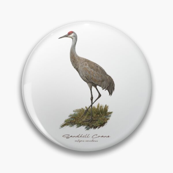 Item preview, Sandhill Crane on Riverbank Bird Illustration designed and sold by Takeda-art.