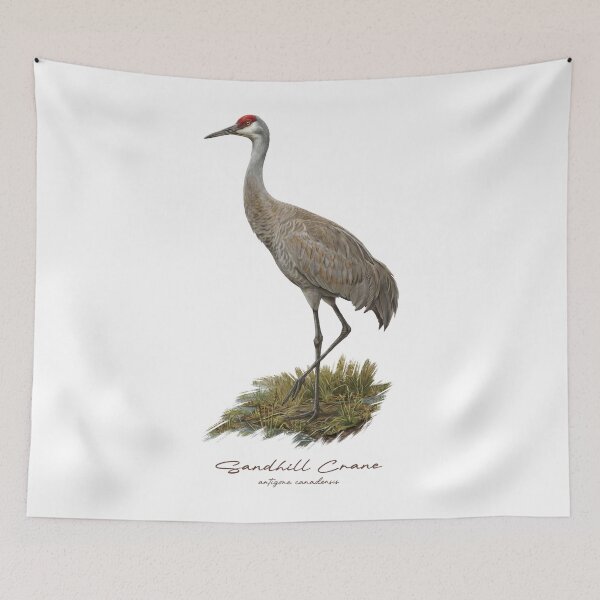 Item preview, Sandhill Crane on Riverbank Bird Illustration designed and sold by Takeda-art.