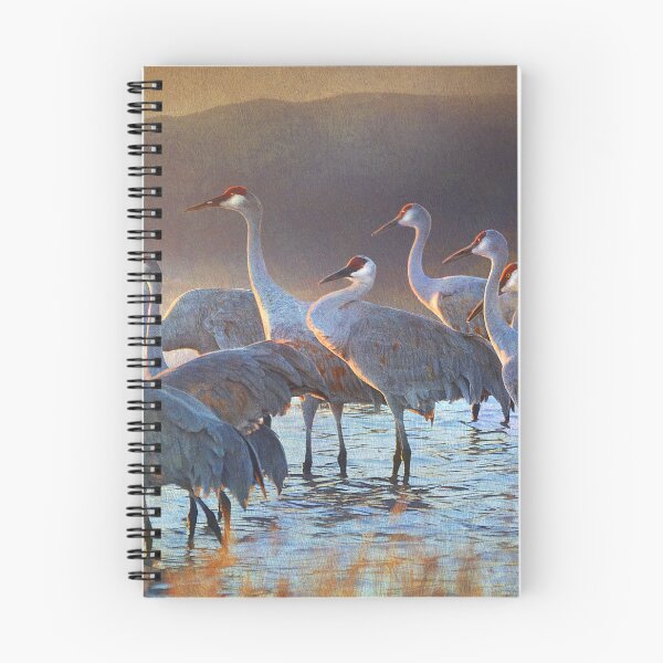 Item preview, group of nine cranes sunrise designed and sold by R Christopher  Vest.