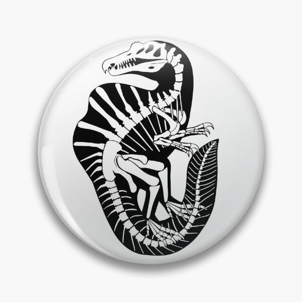 Item preview, Spinosaurus Skeleton designed and sold by DoodleSnake58.