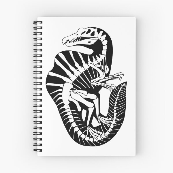 Item preview, Spinosaurus Skeleton designed and sold by DoodleSnake58.