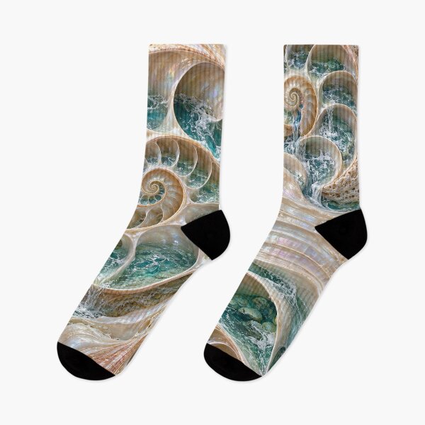 Item preview, El océano dentro de las conchas de nautilus: arte fantástico costero iridiscente designed and sold by Kaleidoscope Print.