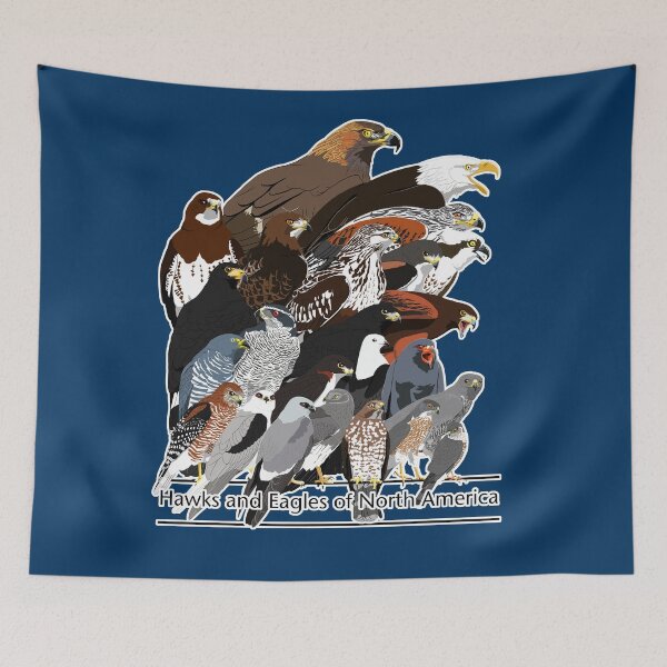 Item preview, Hawks and Eagles of North America designed and sold by BennuBirdy.