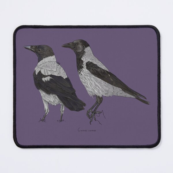 Item preview, Hooded Crow designed and sold by Luzeilustración.