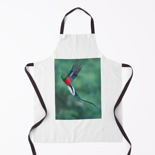 Artikelvorschau, Farbenprächtiger Quetzal im Flug entworfen und verkauft von Roamgrain Photos.
