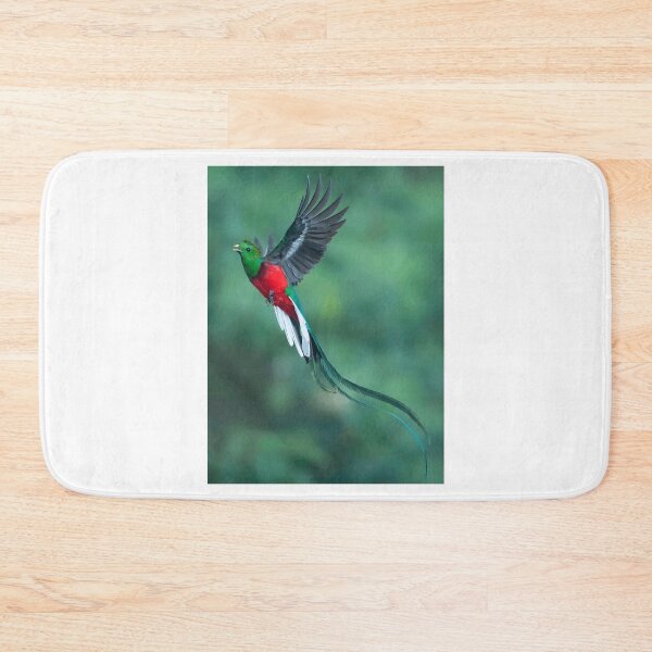 Item preview, Colorful Quetzal Bird in Flight designed and sold by Roamgrain Photos.