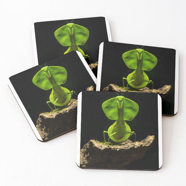Item preview, Close-Up of Bright Green Orchid Mantis on Bark designed and sold by Roamgrain Photos.
