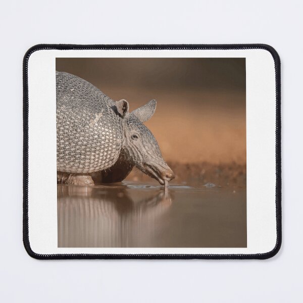 Item preview, Armadillo Drinking Water by a Pond designed and sold by Roamgrain Photos.