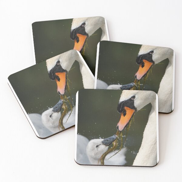 Item preview, Close-Up of Swan and Cygnus with Water Plants designed and sold by Roamgrain Photos.