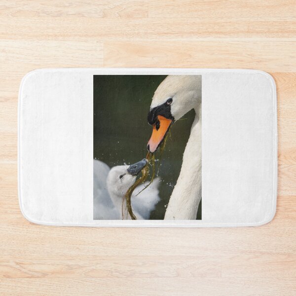 Item preview, Close-Up of Swan and Cygnus with Water Plants designed and sold by Roamgrain Photos.
