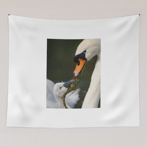 Item preview, Close-Up of Swan and Cygnus with Water Plants designed and sold by Roamgrain Photos.