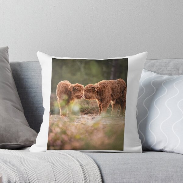Artikelvorschau, Zwei flauschige Hochlandkälber in der Natur entworfen und verkauft von Roamgrain Photos.