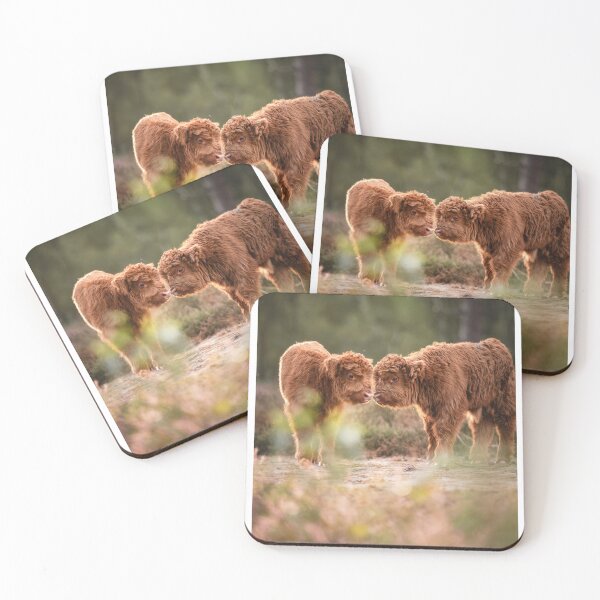 Item preview, Two Fluffy Highland Calves in Nature designed and sold by Roamgrain Photos.