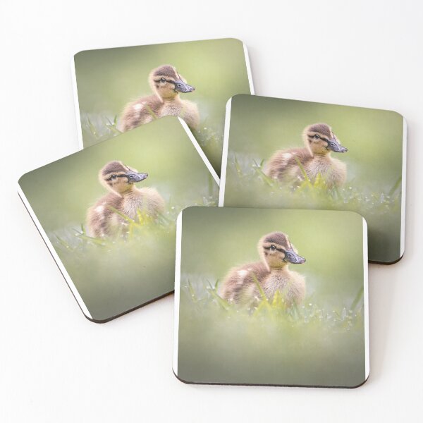 Item preview, Fluffy Baby Duckling in Soft Grass designed and sold by Roamgrain Photos.