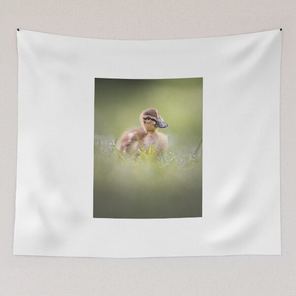 Item preview, Fluffy Baby Duckling in Soft Grass designed and sold by Roamgrain Photos.