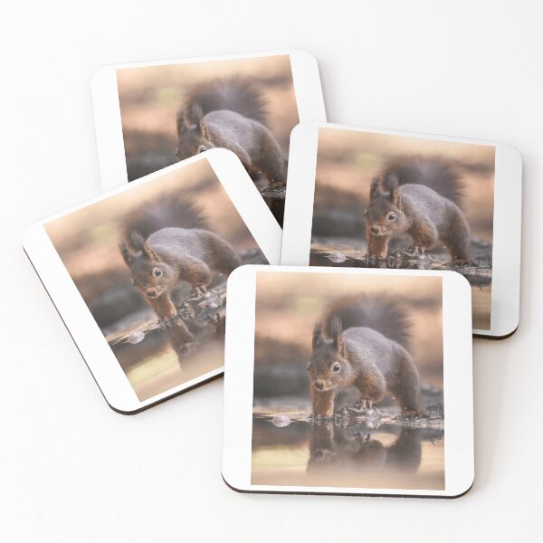 Item preview, Curious Squirrel Near Water Reflection designed and sold by Roamgrain Photos.