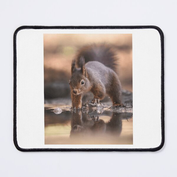 Item preview, Curious Squirrel Near Water Reflection designed and sold by Roamgrain Photos.