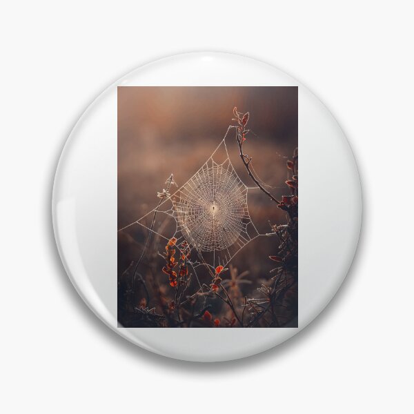 Item preview, Intricate Spider Web in Autumnal Light designed and sold by Roamgrain Photos.