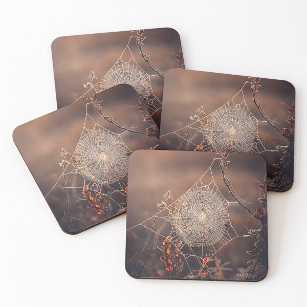 Item preview, Intricate Spider Web in Autumnal Light designed and sold by Roamgrain Photos.