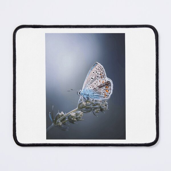 Item preview, Detailed Blue Butterfly on Flower Buds designed and sold by Roamgrain Photos.