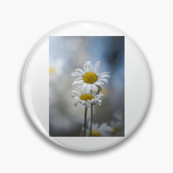 Item preview, Soft Focus White Daisies with Yellow Centers designed and sold by Roamgrain Photos.