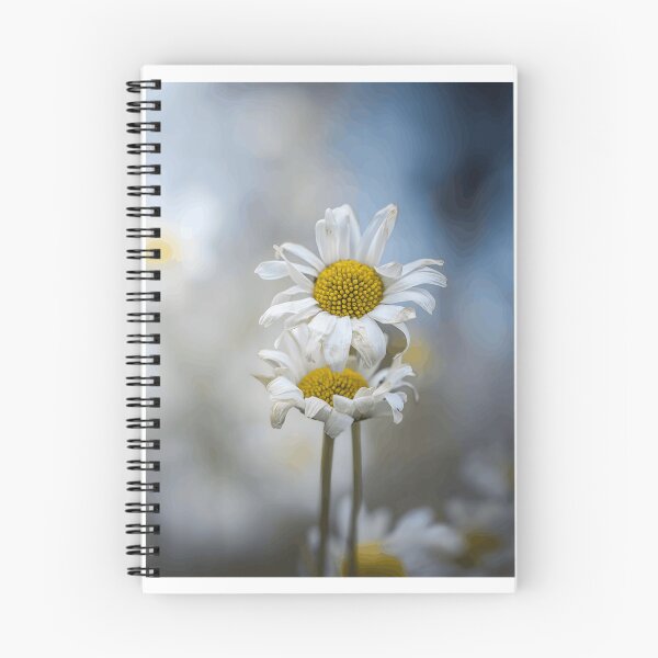 Item preview, Soft Focus White Daisies with Yellow Centers designed and sold by Roamgrain Photos.