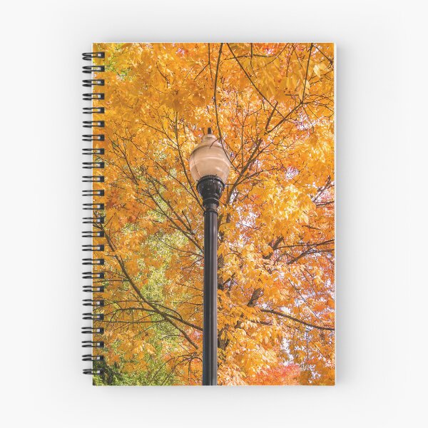 Item preview, Golden Light, Quiet Street designed and sold by RockitBaby.