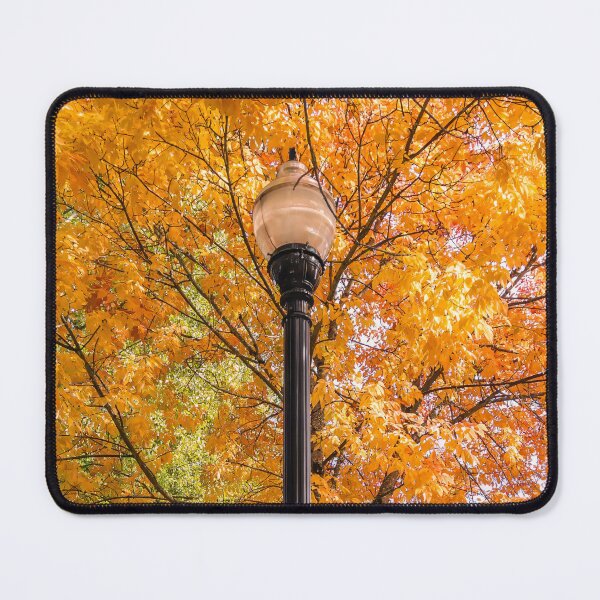 Item preview, Golden Light, Quiet Street designed and sold by RockitBaby.