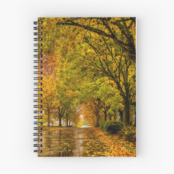 Item preview, Rainy Road Through Autumn designed and sold by RockitBaby.
