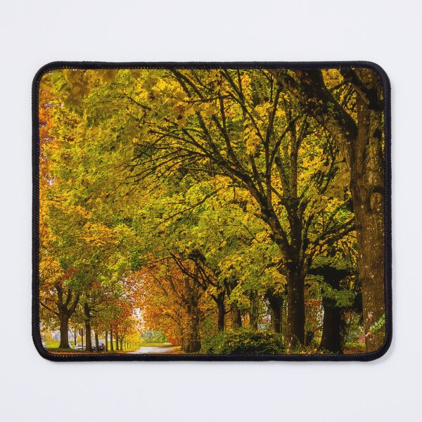 Item preview, Rainy Road Through Autumn designed and sold by RockitBaby.
