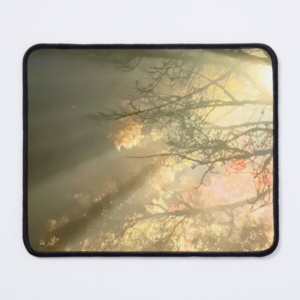 Item preview, Where Autumn Meets Light designed and sold by RockitBaby.