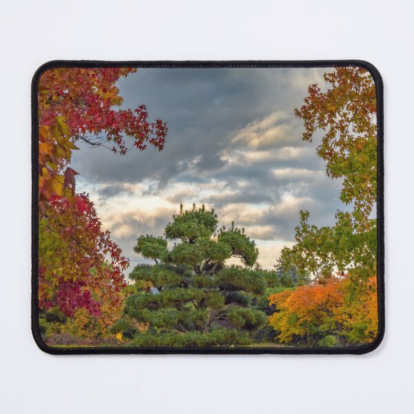 Item preview, Autumn Opens To Sky designed and sold by RockitBaby.