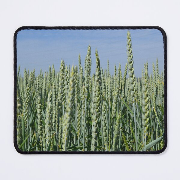 Item preview, Wheat field designed and sold by Dunadagra.