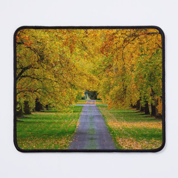 Item preview, Under Autumn's Golden Canopy designed and sold by RockitBaby.