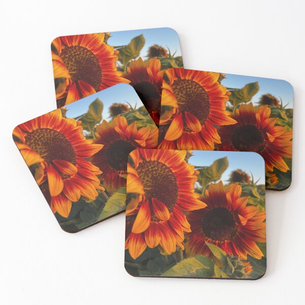 Item preview, Sunset sunflowers designed and sold by Sunshine-Pics.