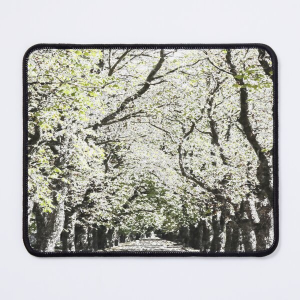 Item preview, Tree Lined Snow Art designed and sold by Londonimages.