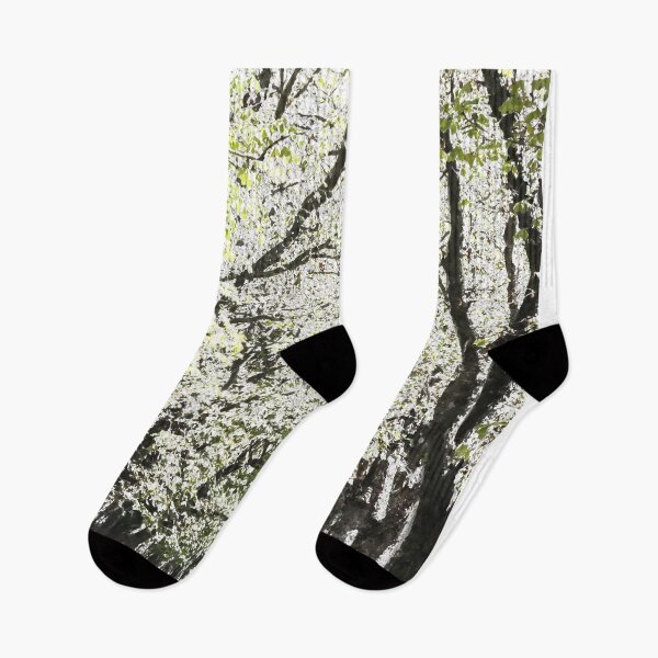 Item preview, Tree Lined Snow Art designed and sold by Londonimages.