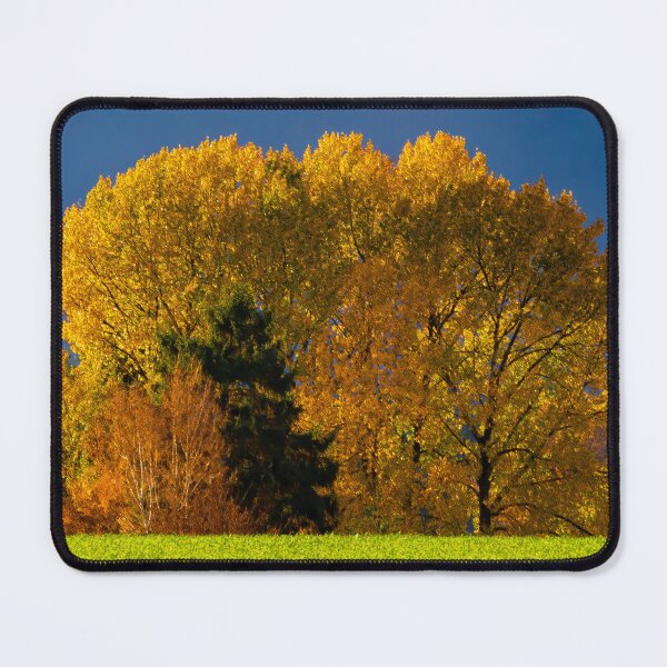 Item preview, Golden Trees Beneath Stormlight designed and sold by RockitBaby.