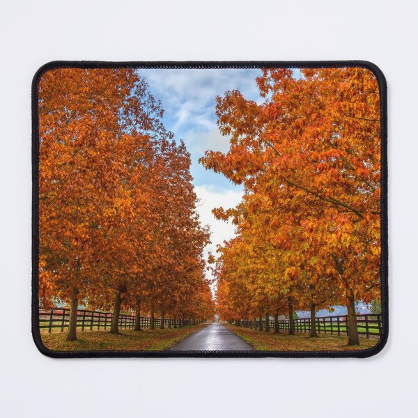 Item preview, Autumn Road to Somewhere designed and sold by RockitBaby.