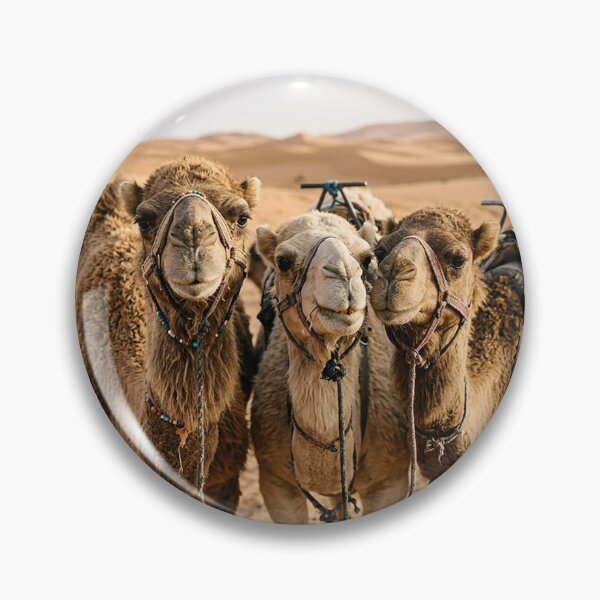 Item preview, Camels designed and sold by snoWorkshop.