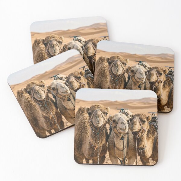 Item preview, Camels designed and sold by snoWorkshop.